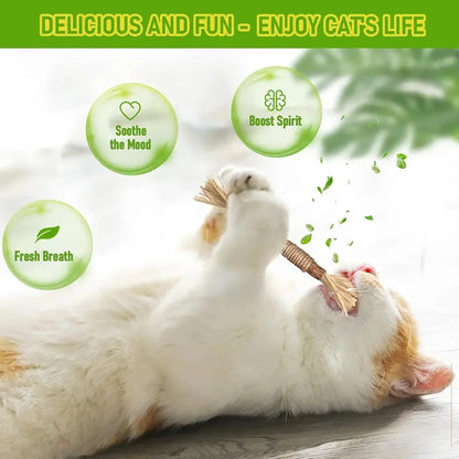 Edertas Natural Cat Chew Toy – Reduce Boredom, Support Cleaner Teeth
