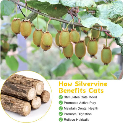 Edertas Natural Cat Chew Toy – Reduce Boredom, Support Cleaner Teeth