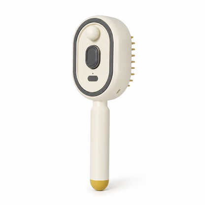 BBOJI Anti-Frizz Spray Massage Comb & Hair Oil Set