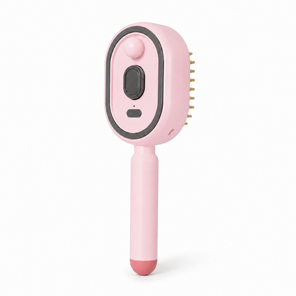 BBOJI Anti-Frizz Spray Massage Comb & Hair Oil Set