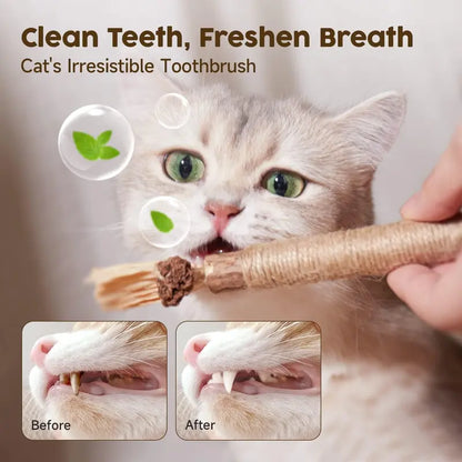 Edertas Natural Cat Chew Toy – Reduce Boredom, Support Cleaner Teeth