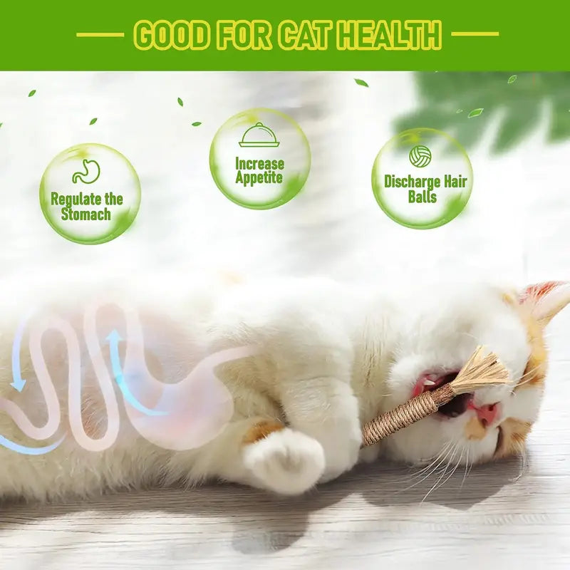 Edertas Natural Cat Chew Toy – Reduce Boredom, Support Cleaner Teeth