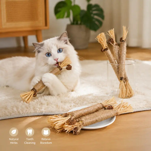 Edertas Natural Cat Chew Toy – Reduce Boredom, Support Cleaner Teeth