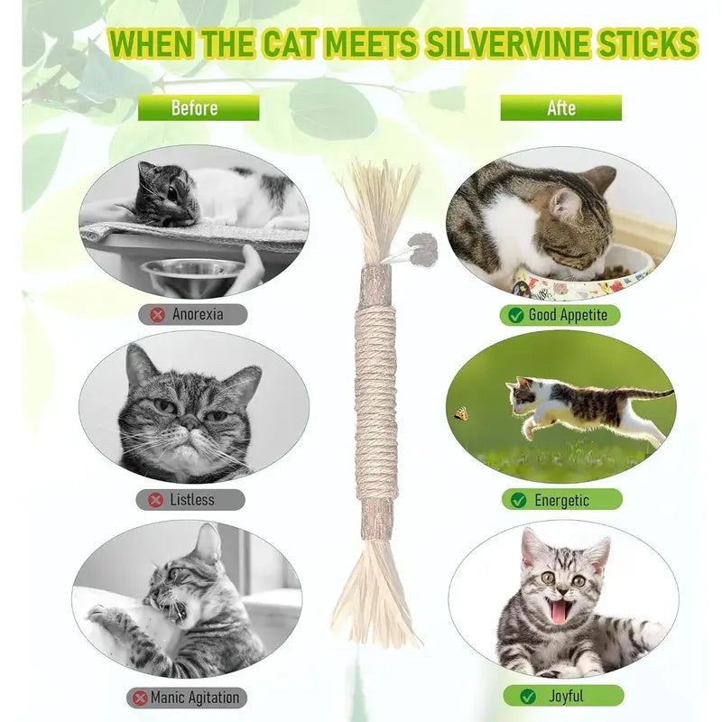 Edertas Natural Cat Chew Toy – Reduce Boredom, Support Cleaner Teeth