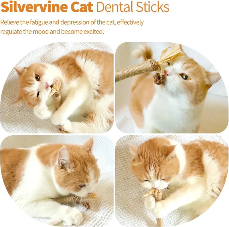 Edertas Natural Cat Chew Toy – Reduce Boredom, Support Cleaner Teeth